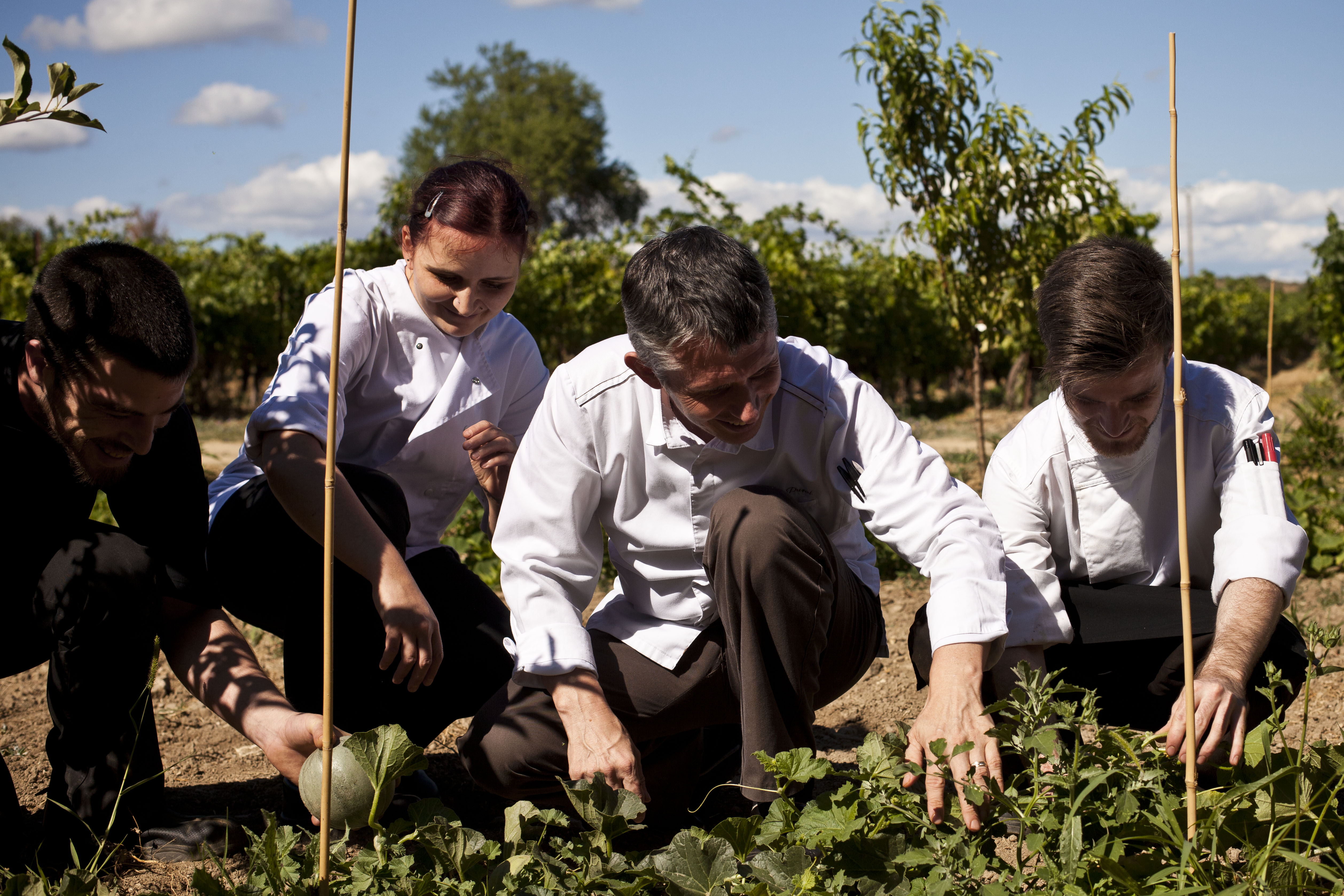 From Root To Leave, The Chefs Pick Their Vegetables From The Château's Garden