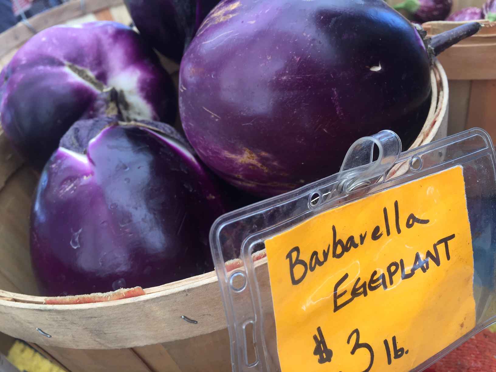 Barbarella Eggplant
