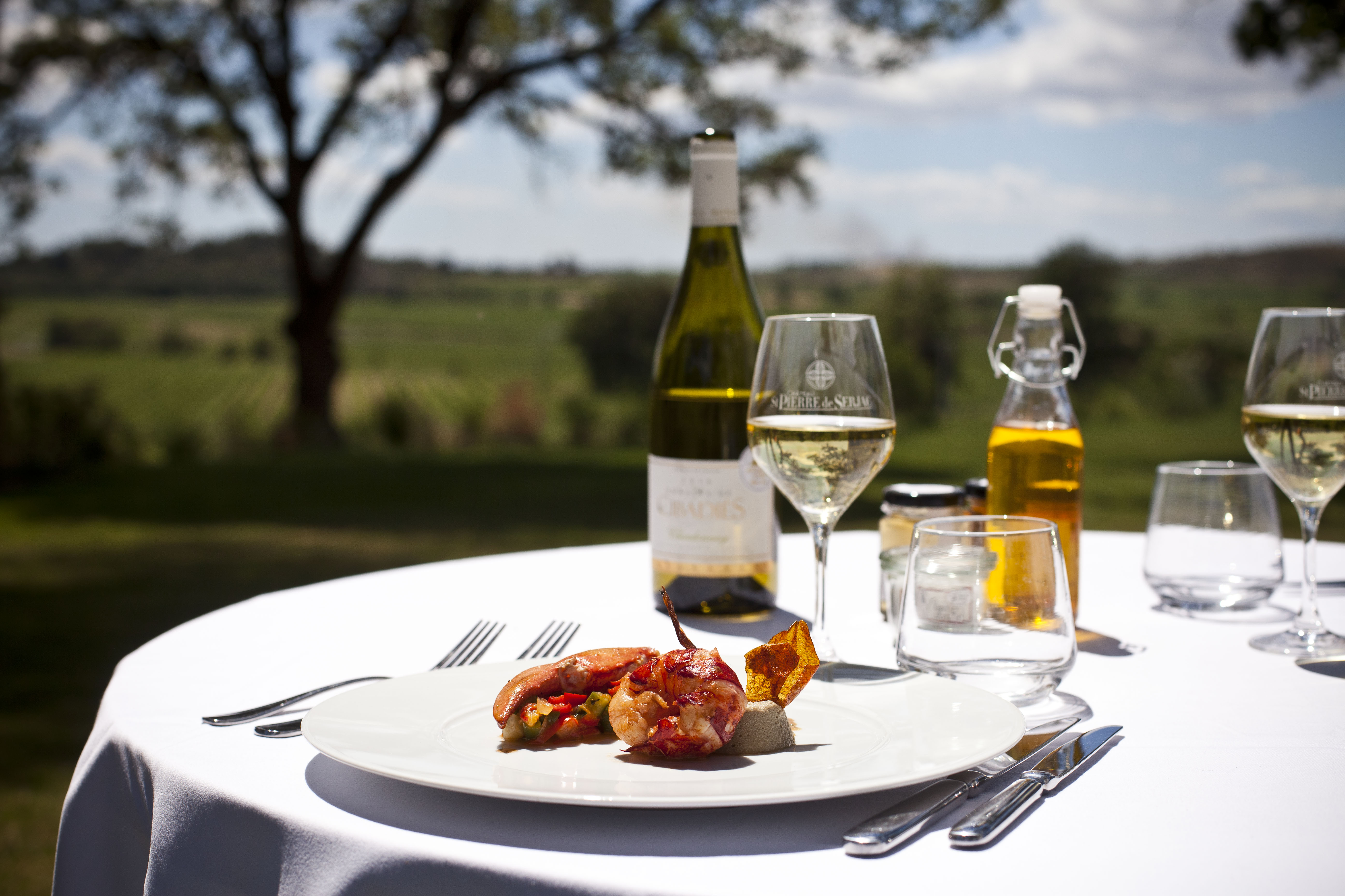 Romantic Lunch In The Vineyard